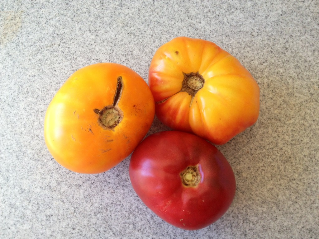 heirloom tomatoes