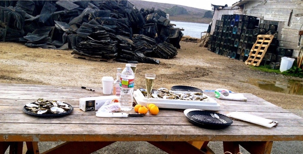 Oyster Picnic